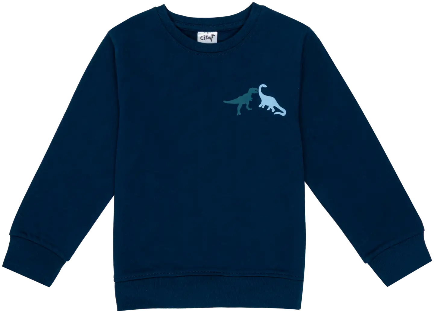 Ciraf lasten collegepaita dinot 25PC260217 - Titan 19-4128 Tcx - 1