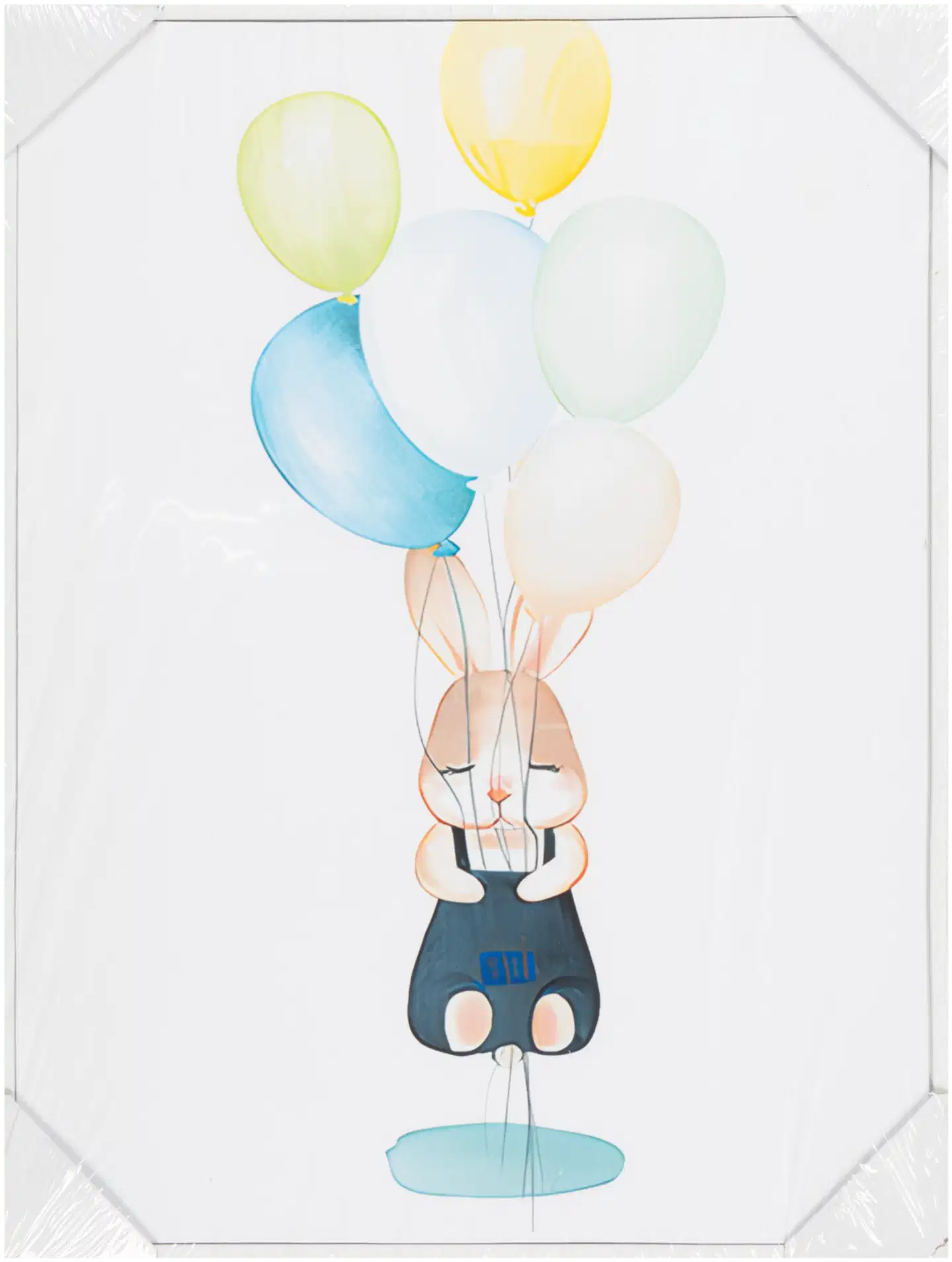 Taulu Ilmapallot 30x40 cm