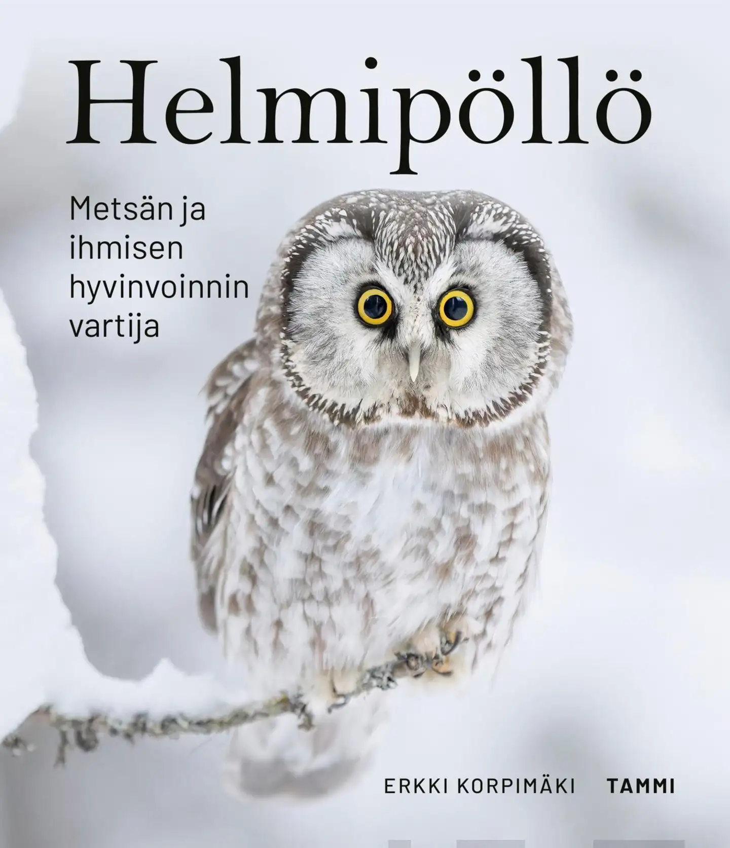 Korpimäki, Helmipöllö - Metsän ja ihmisen hyvinvoinnin vartija