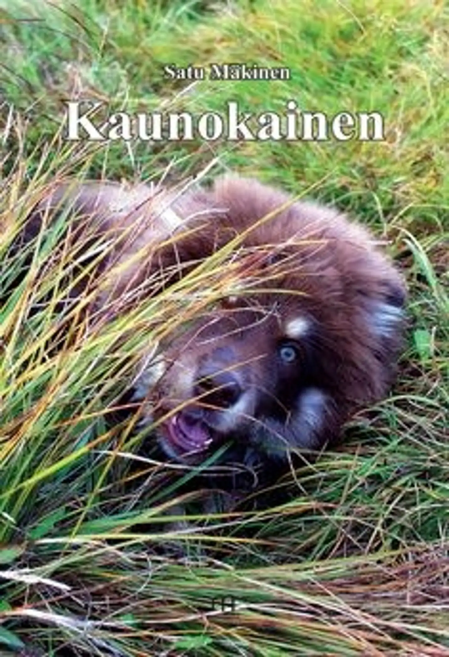 Mäkinen, Kaunokainen