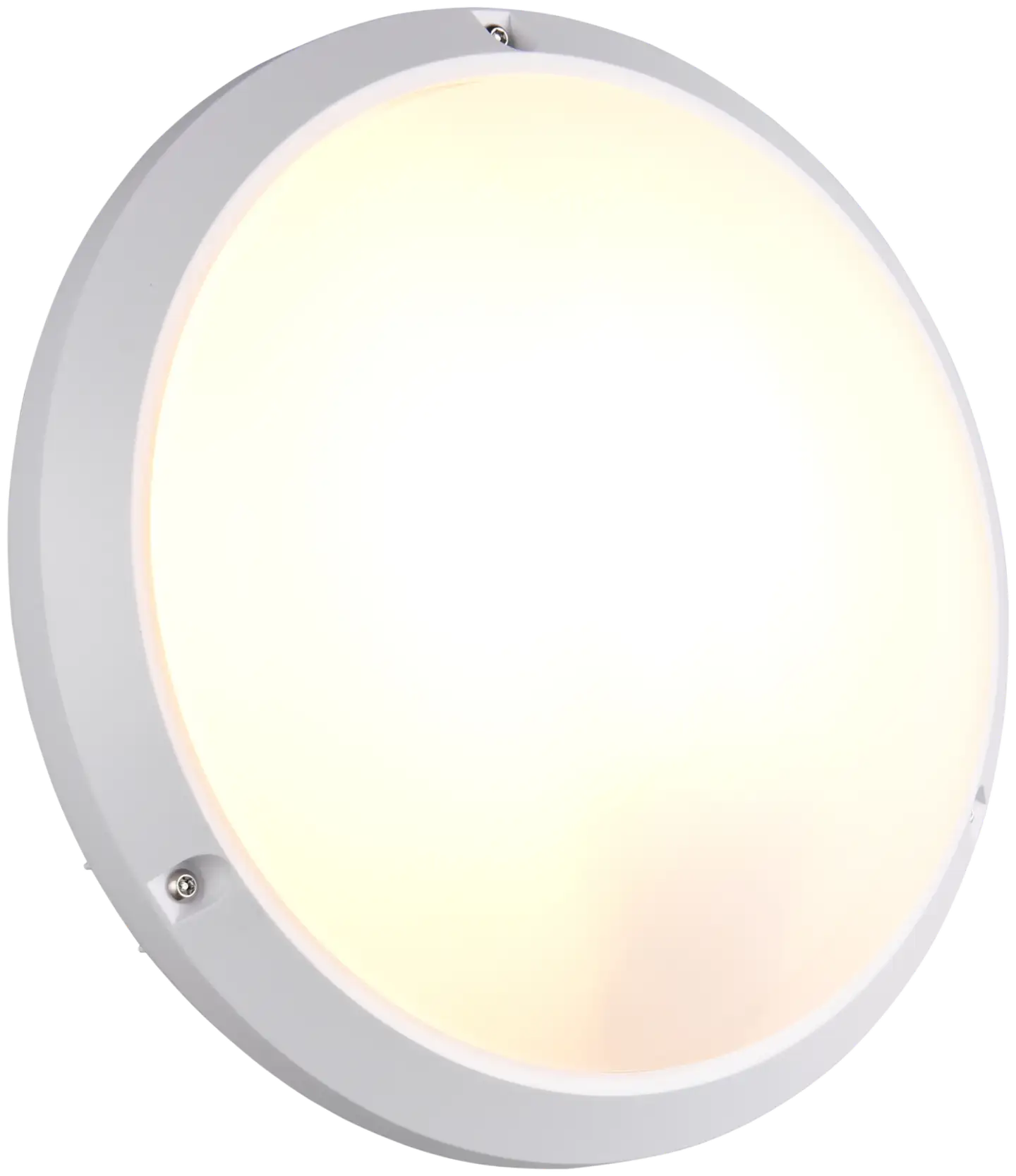 Trio ulkovalaisin Ambato 27 valkoinen IP65 iskunkestävä IK10 seinä- ja kattoasennus - 1