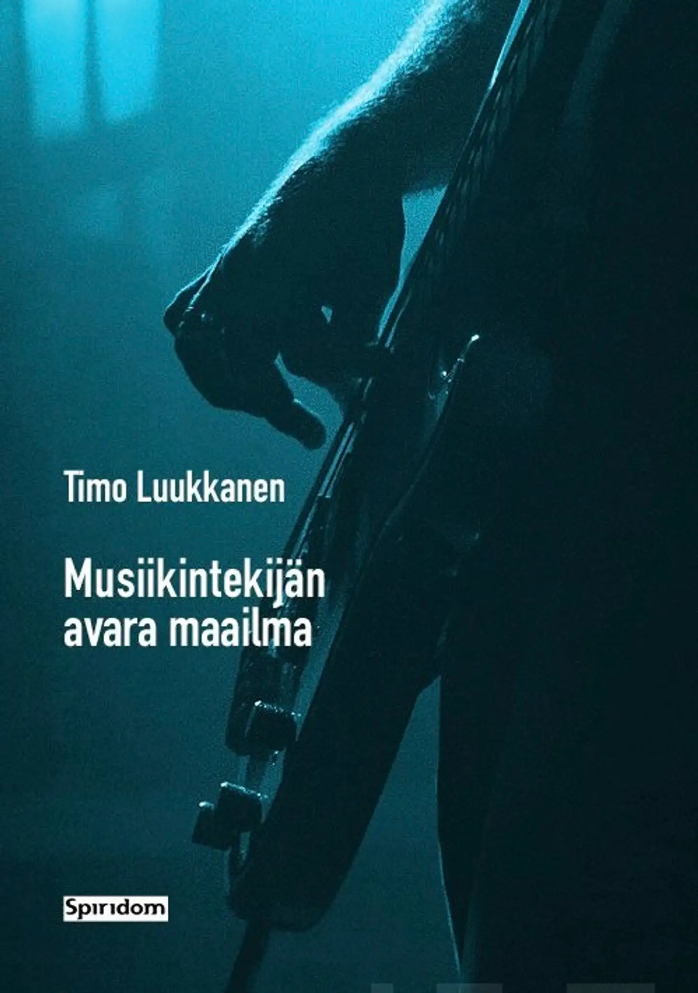 Luukkanen, Musiikintekijän avara maailma