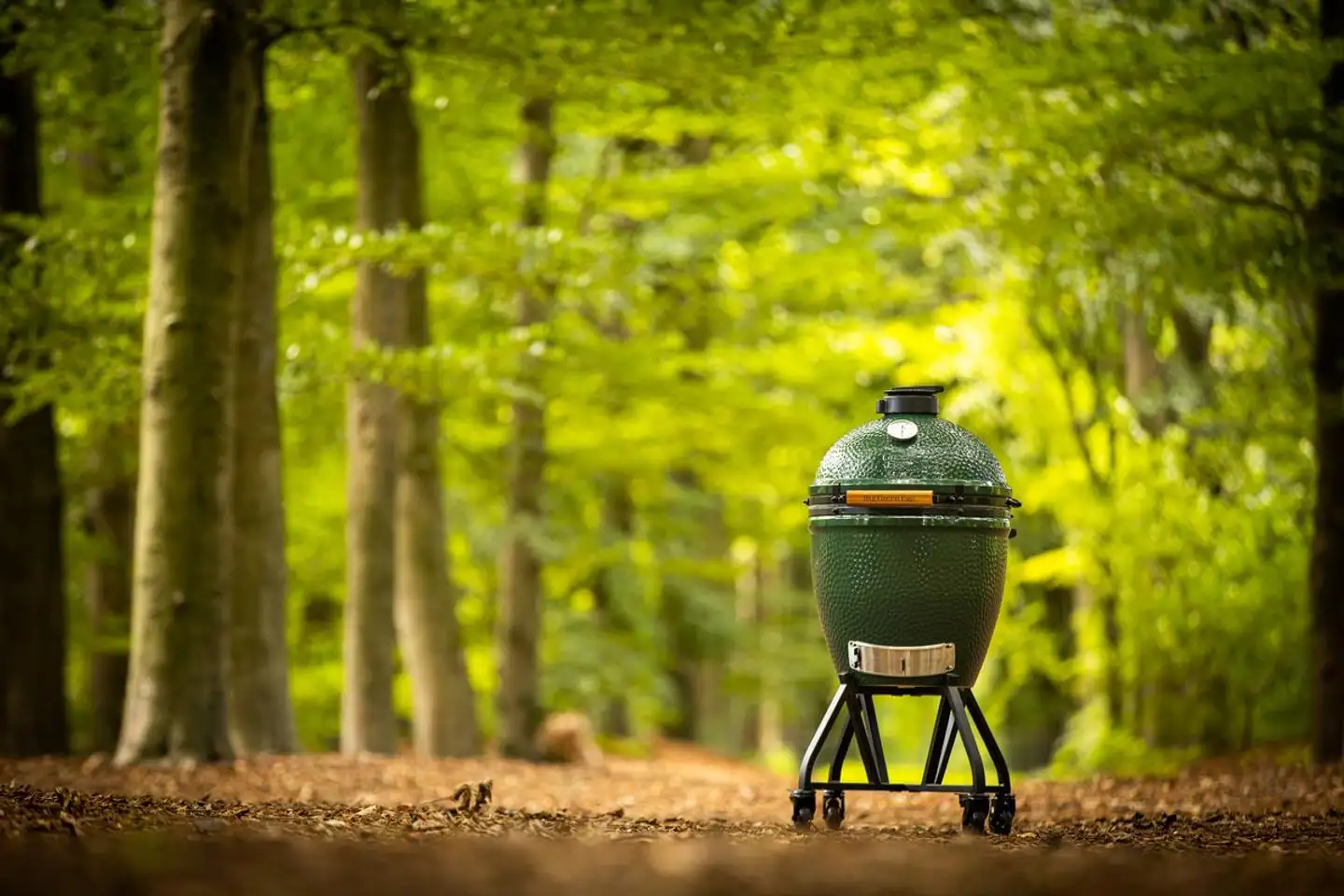 Big Green Egg hiiligrilli Large - 6