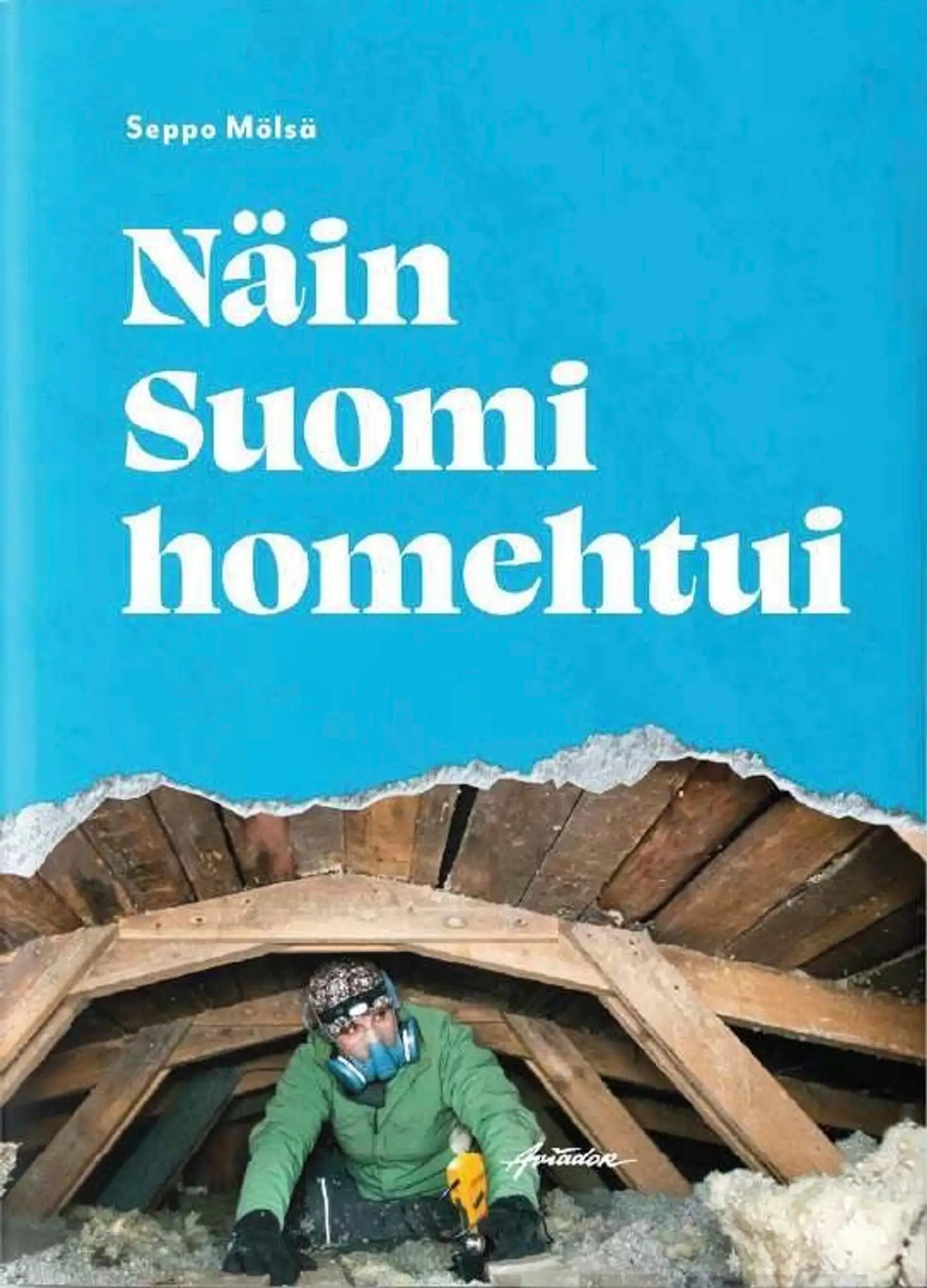 Mölsä, Näin Suomi homehtui