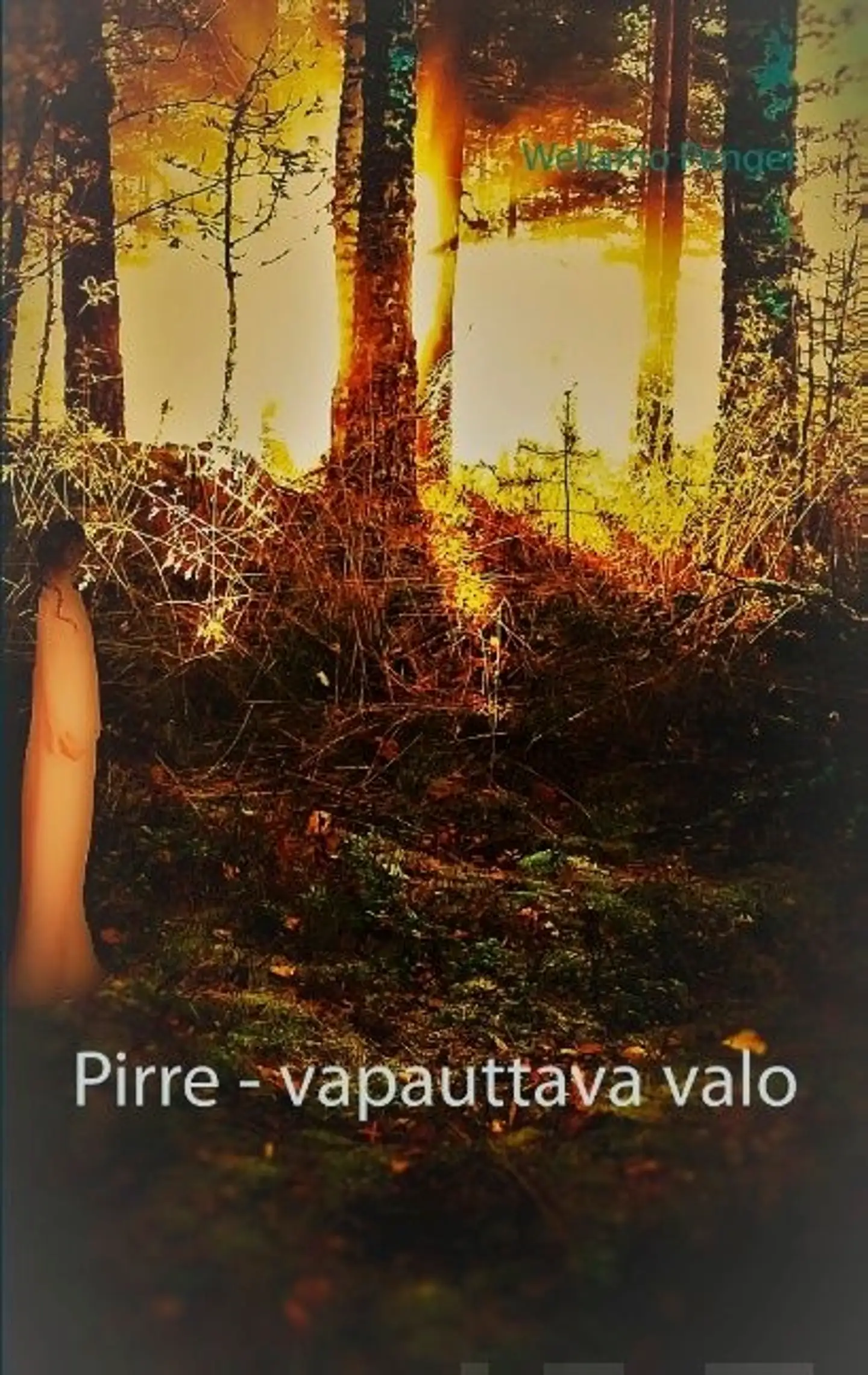 Penger, Pirre - vapauttava valo - (...jatkuuko tarina?)