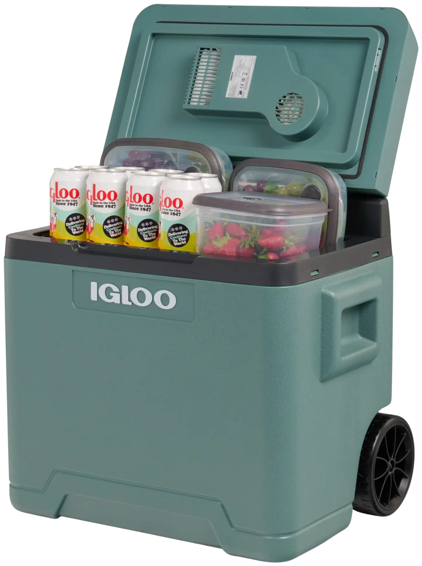 Igloo termosähköinen kylmälaukku pyörillä IE42R ACDC, tilavuus 42l, vihreä - 8