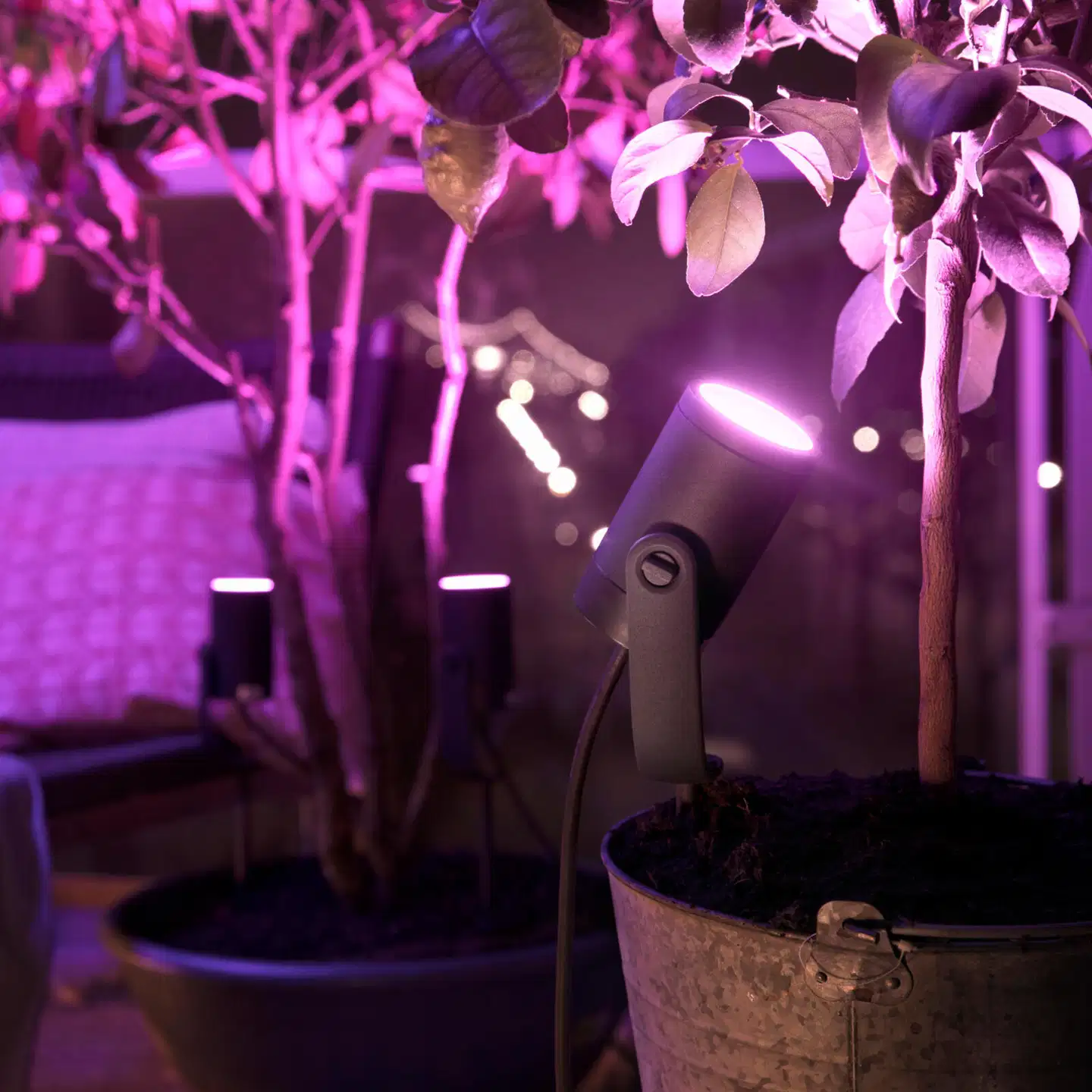Philips Hue Lily -lisäkohdevalaisin 8W 2000-6500K 590LM musta säädettävä - 10