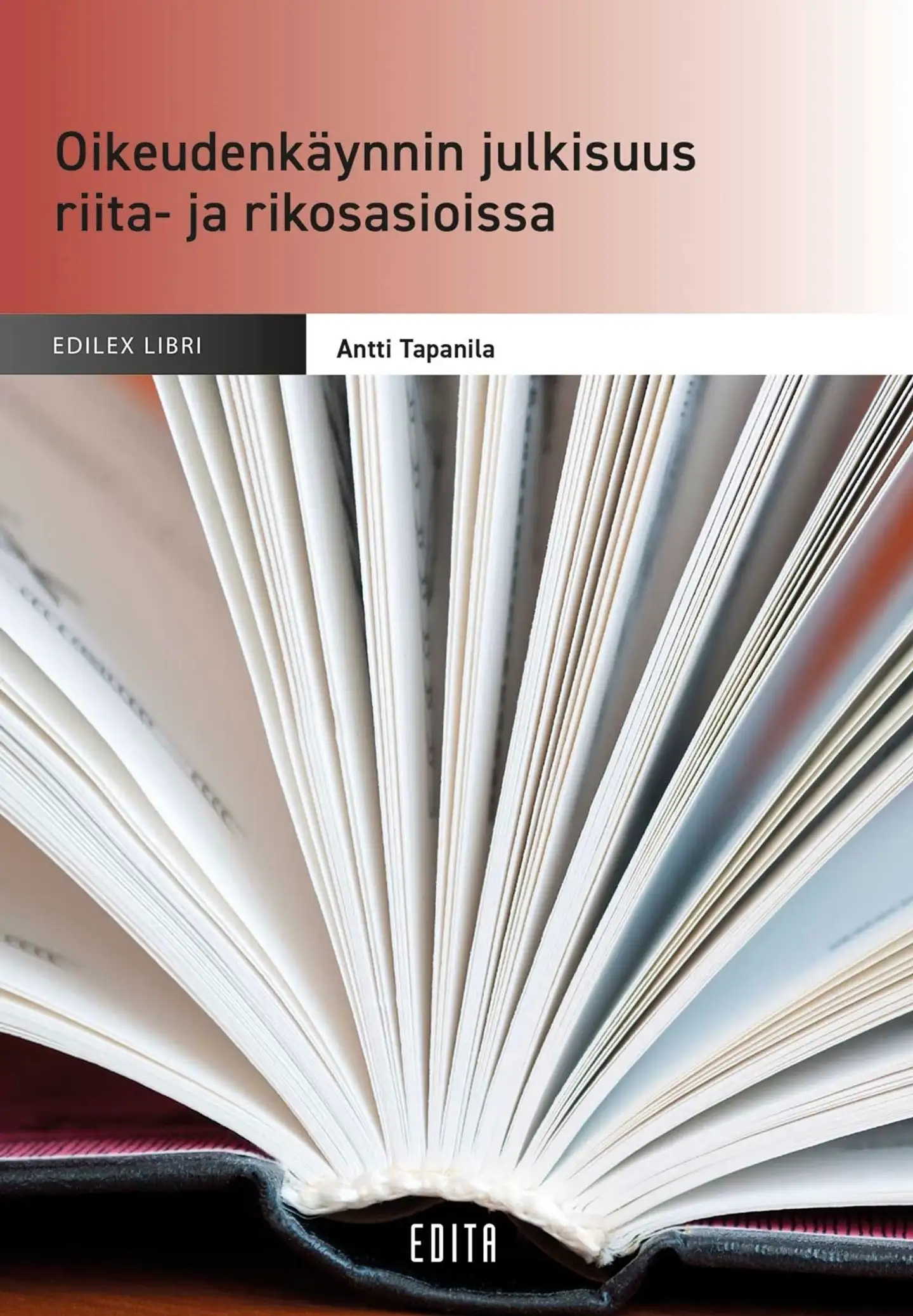 Tapanila, Oikeudenkäynnin julkisuus riita- ja rikosasioissa