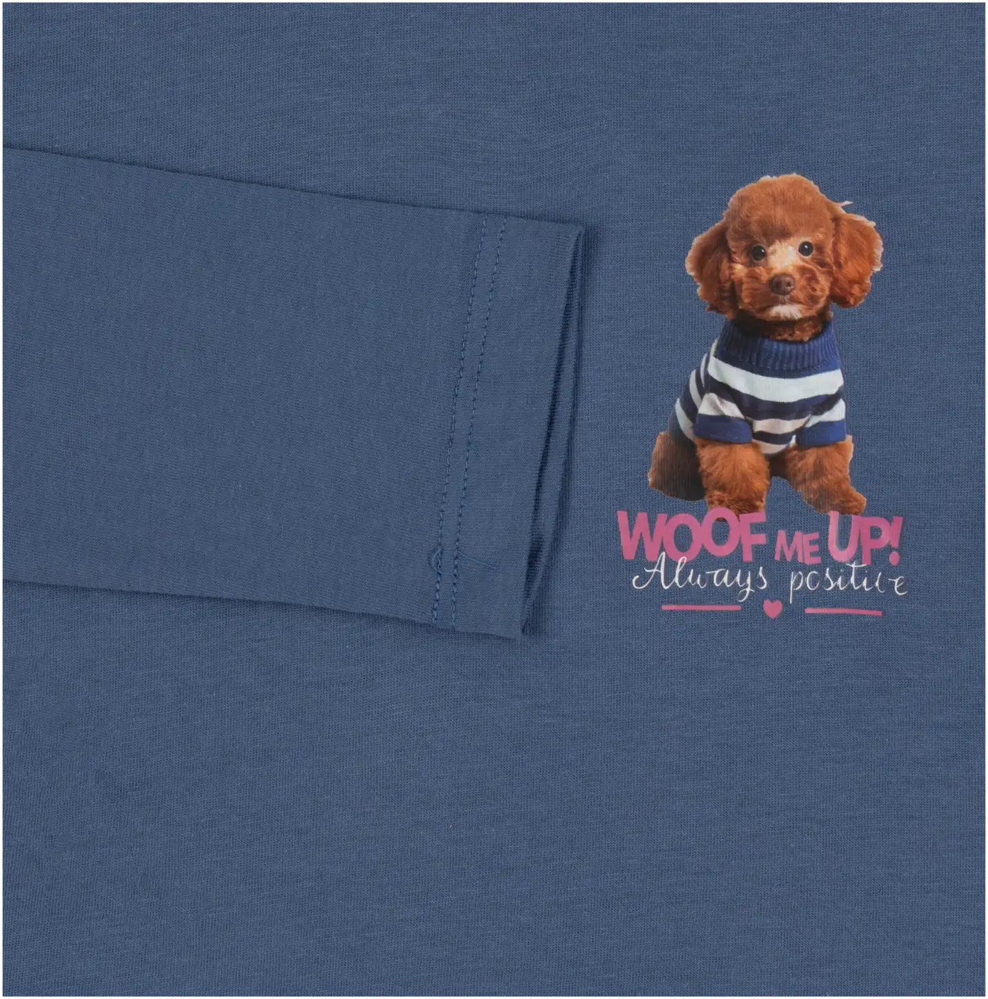 TEX lasten trikoopaita koira I993955 - BLUE 2 - 3