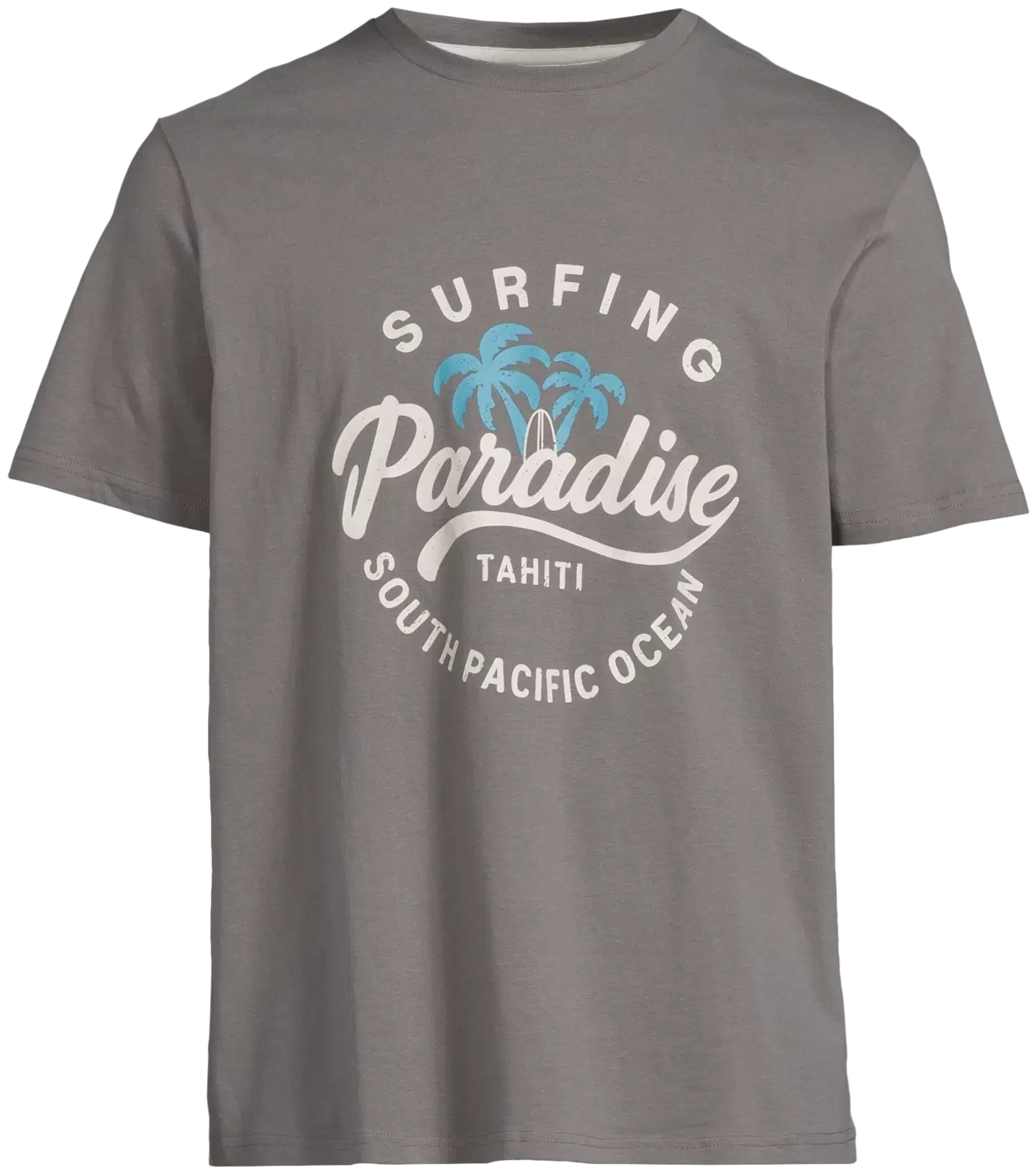 House miesten t-paita Palm Beach 195H152613 - Dark grey - 2