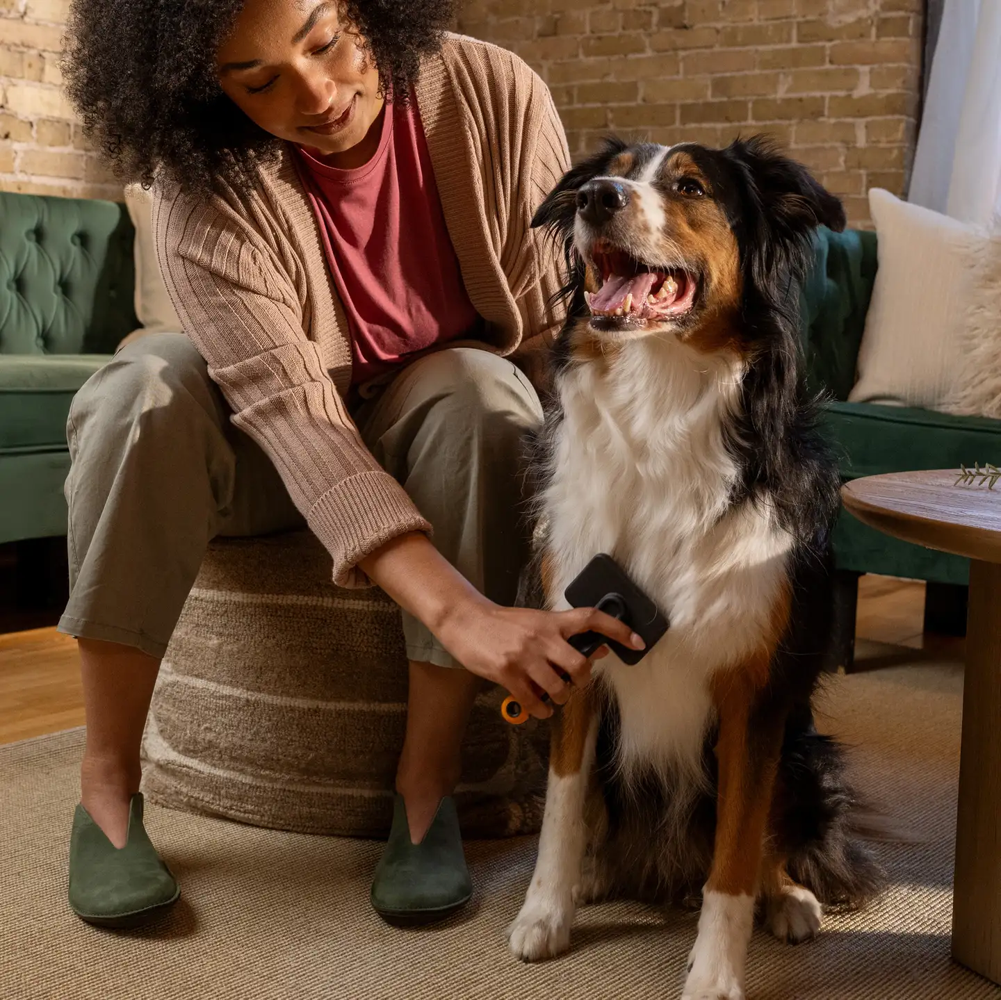 Fiskars lemmikin karsta - 5