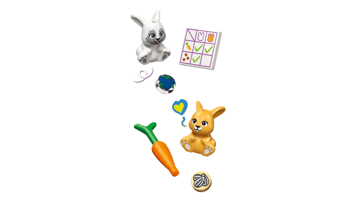 LEGO® LEGO Friends 42679 Heartlake Cityn pupuhotelli - 13