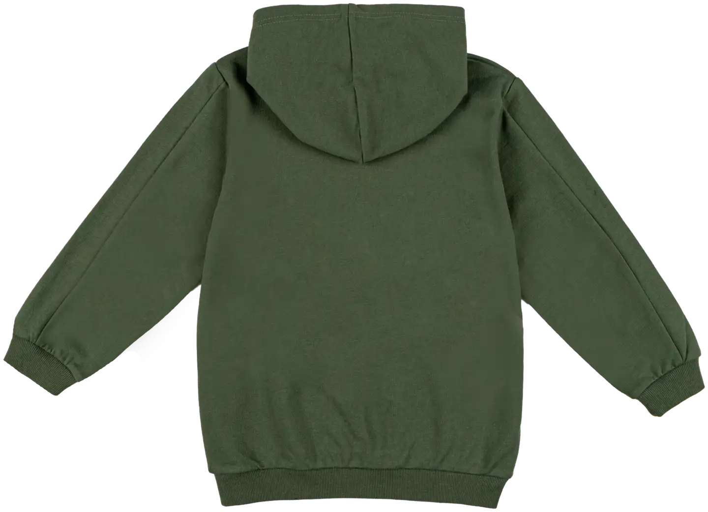 Ciraf lasten collegehuppari dino 25PC254007 - 18-0317tcx bronze green - 2