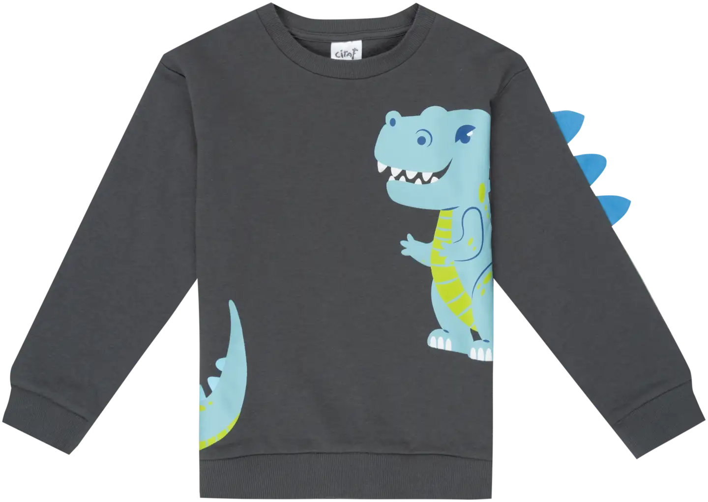 Ciraf lasten collegepusero Dino 25pc260215 - 19-4209tcx enigma - 1