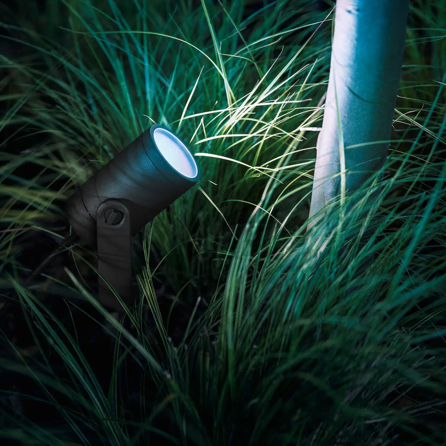 Philips Hue Lily -kohdevalaisin kolmella spotilla 8W 2000-6500K 590LM musta säädettävä - 10