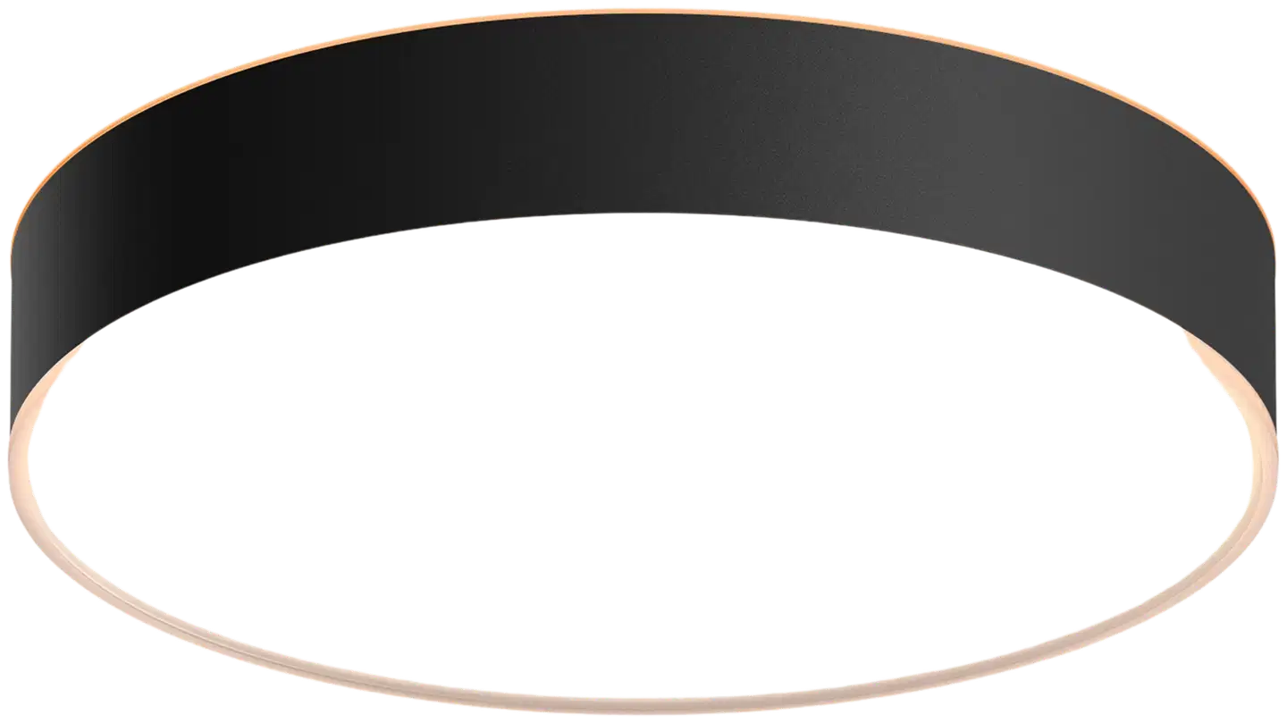 Philips Hue Enrave -kattovalaisin 19W 2200-6500K 2450LM keskikoko musta - 1
