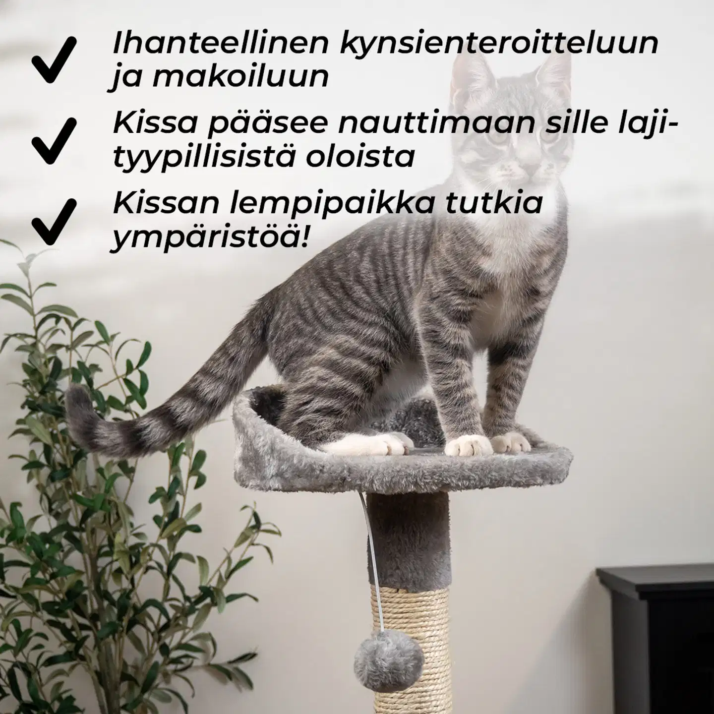 Trekker kissan kiipeilypuu Home 112 cm harmaa - 5