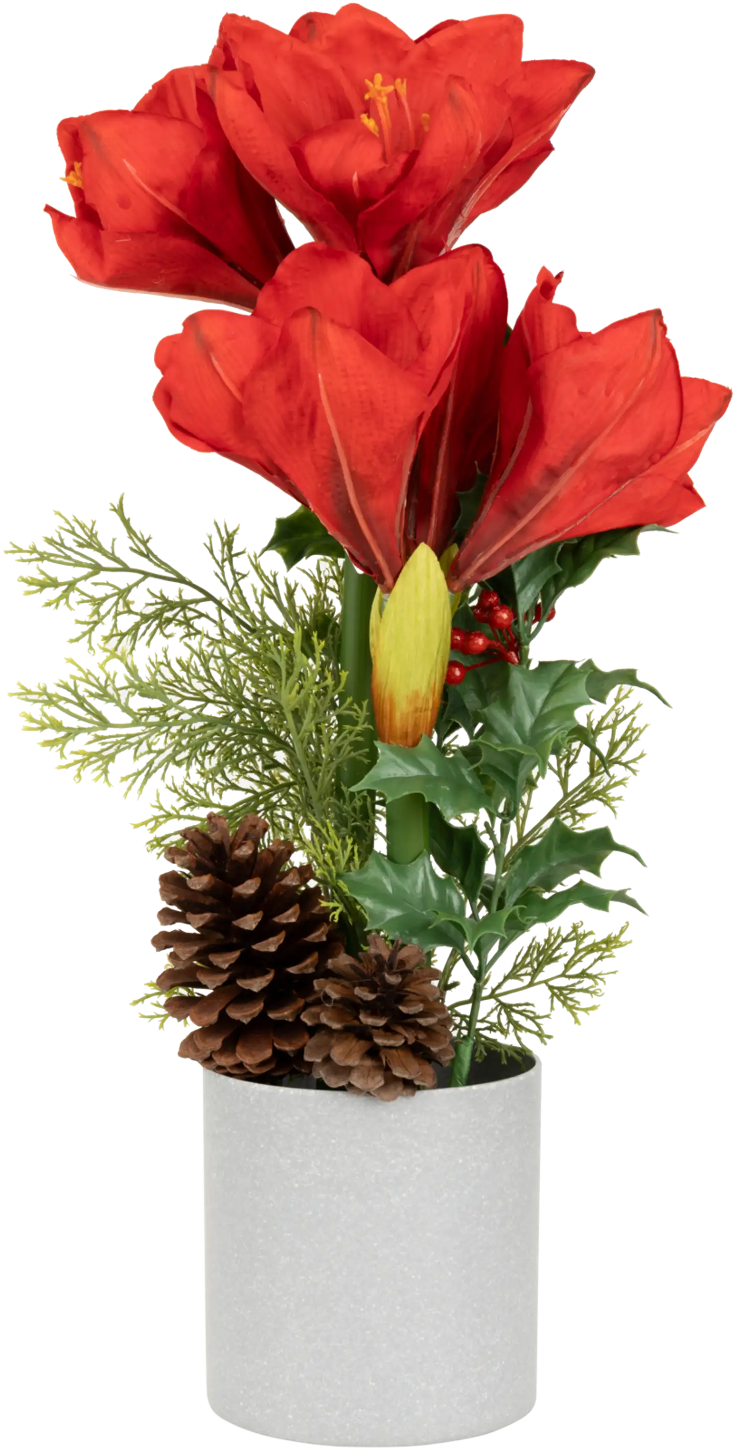 Tekokasvi Amaryllis ruukussa, erilaisia - 2