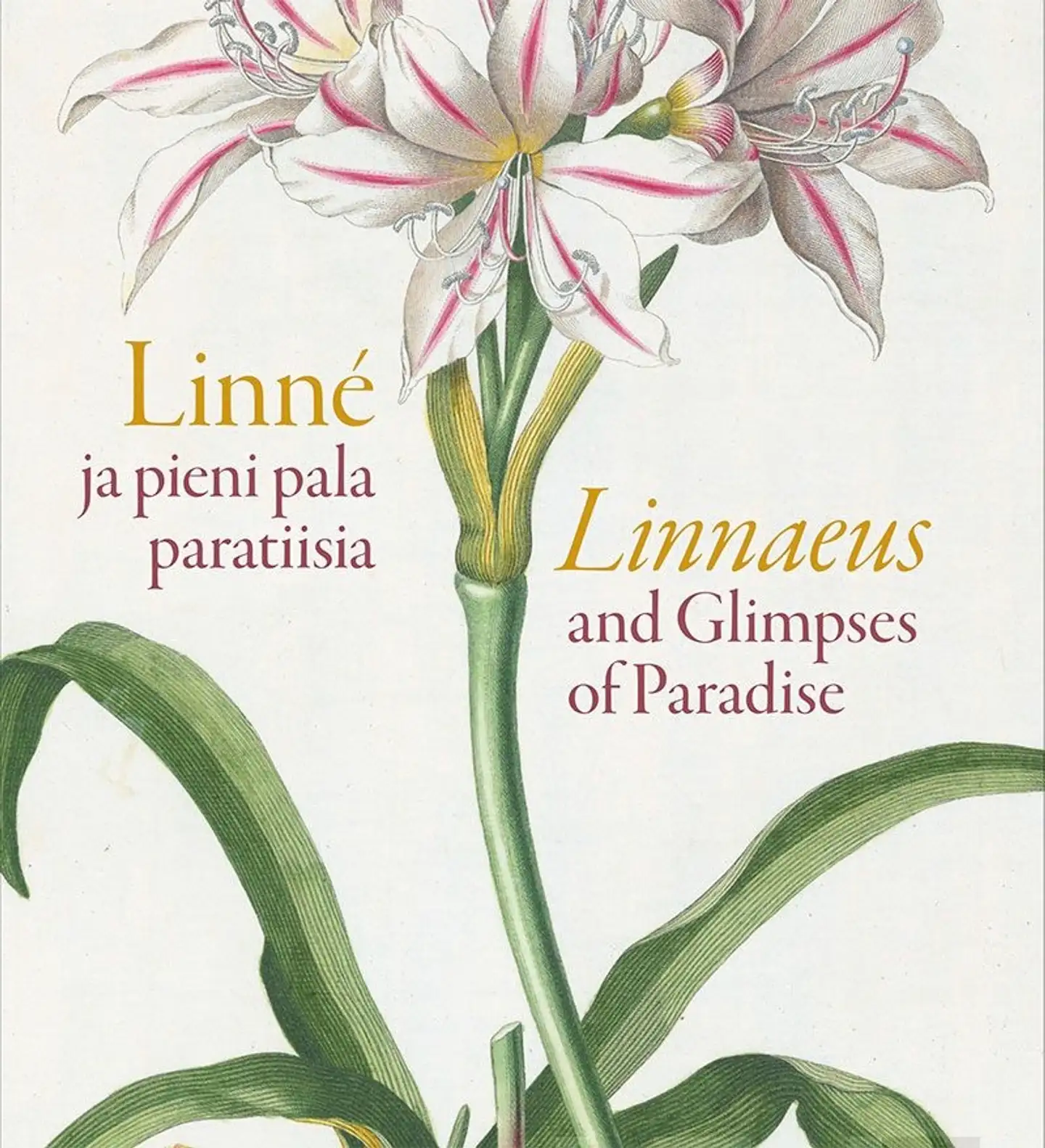 Eskelinen, Linné ja pieni pala paratiisia – Linnaeus and Glipses of Paradise