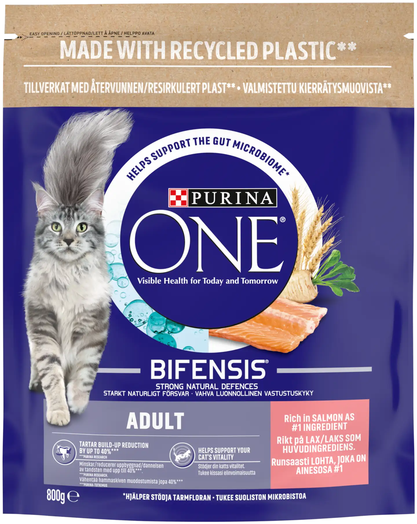 Purina ONE 800g Adult Runsaasti Lohta ja vehnää kissanruoka