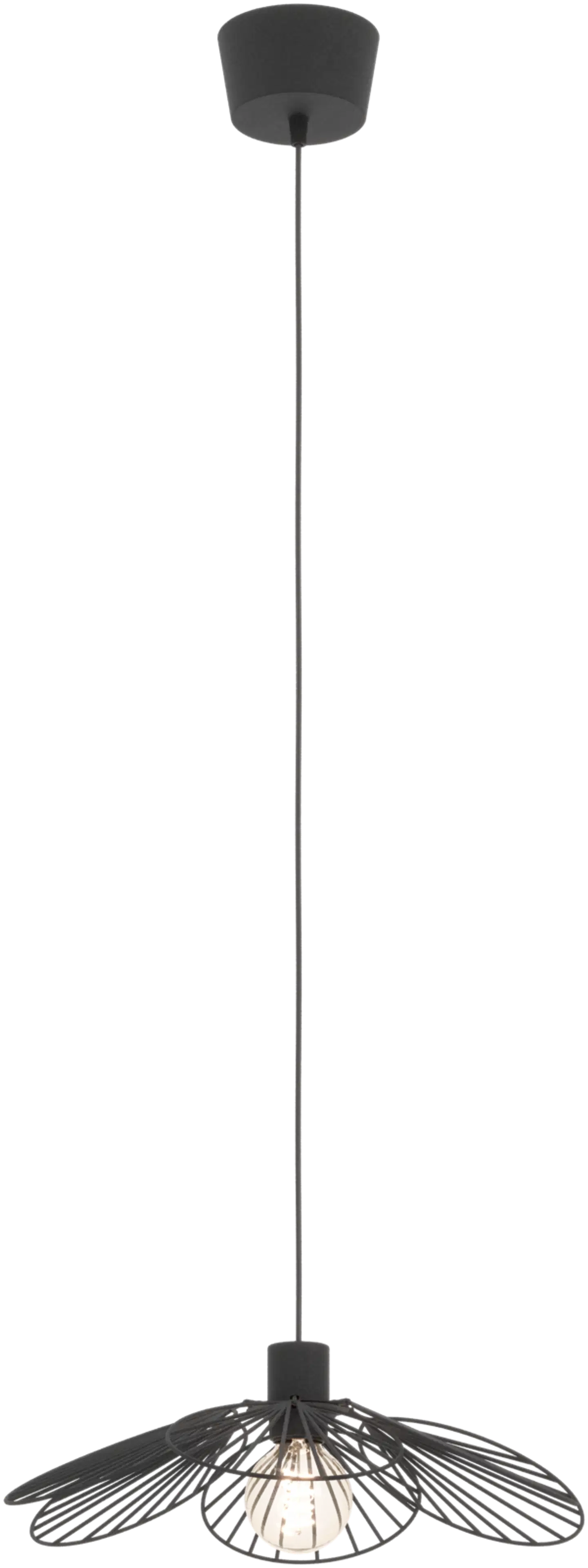 EGLO riippuvalaisin Binacua E27 maks 640W IP20 mattamusta - 2