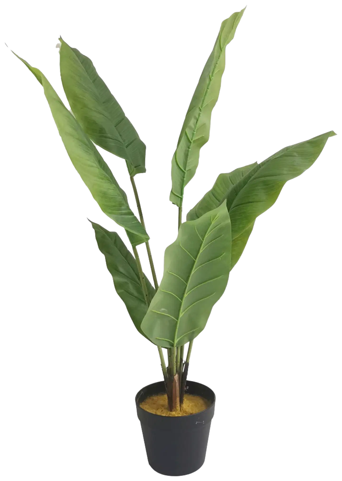Lykke tekokasvi peace lily 105cm - 1