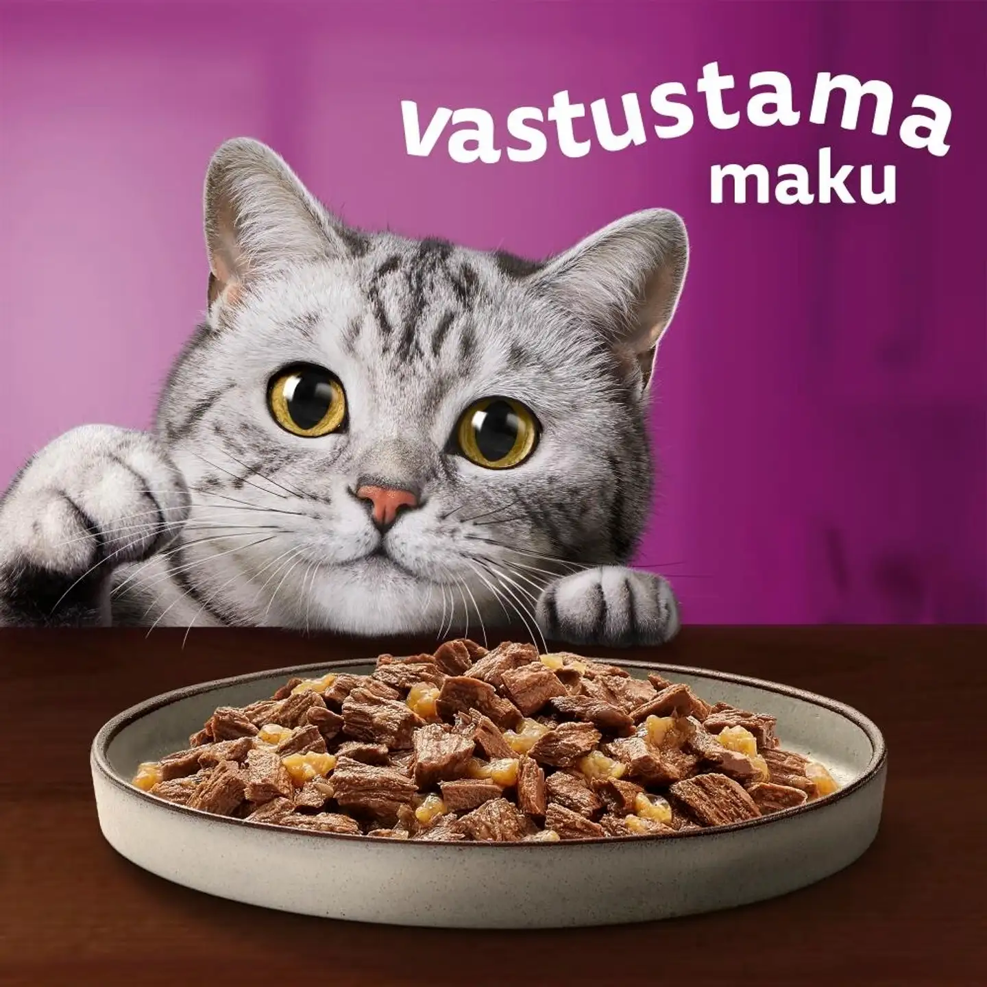 Whiskas 1+ Pure Delight valitut suikaleet hyytelössä (12 x 85 g) - 2