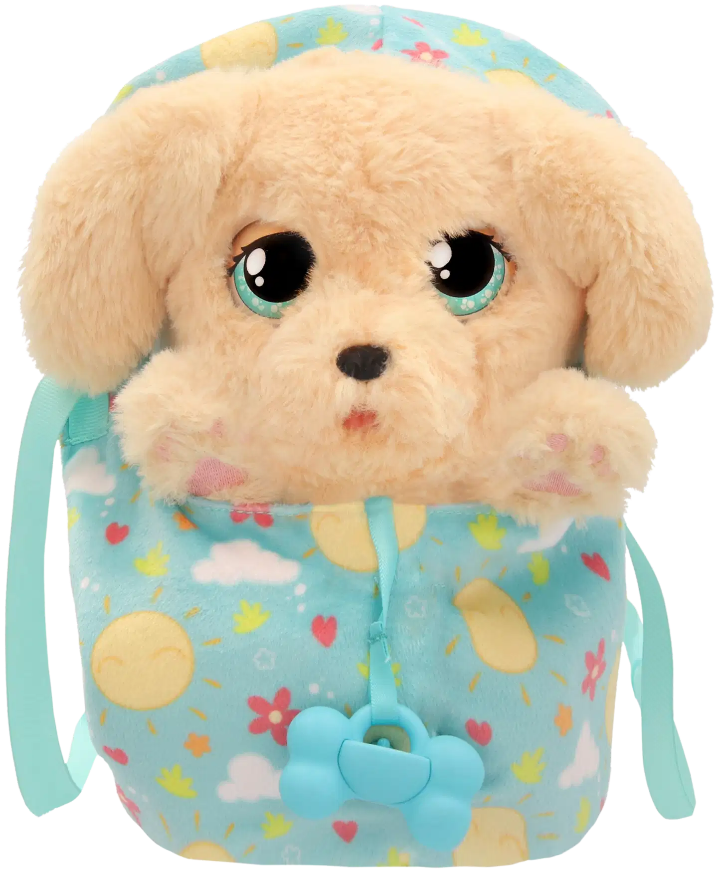 Baby Paws Labradori - 5