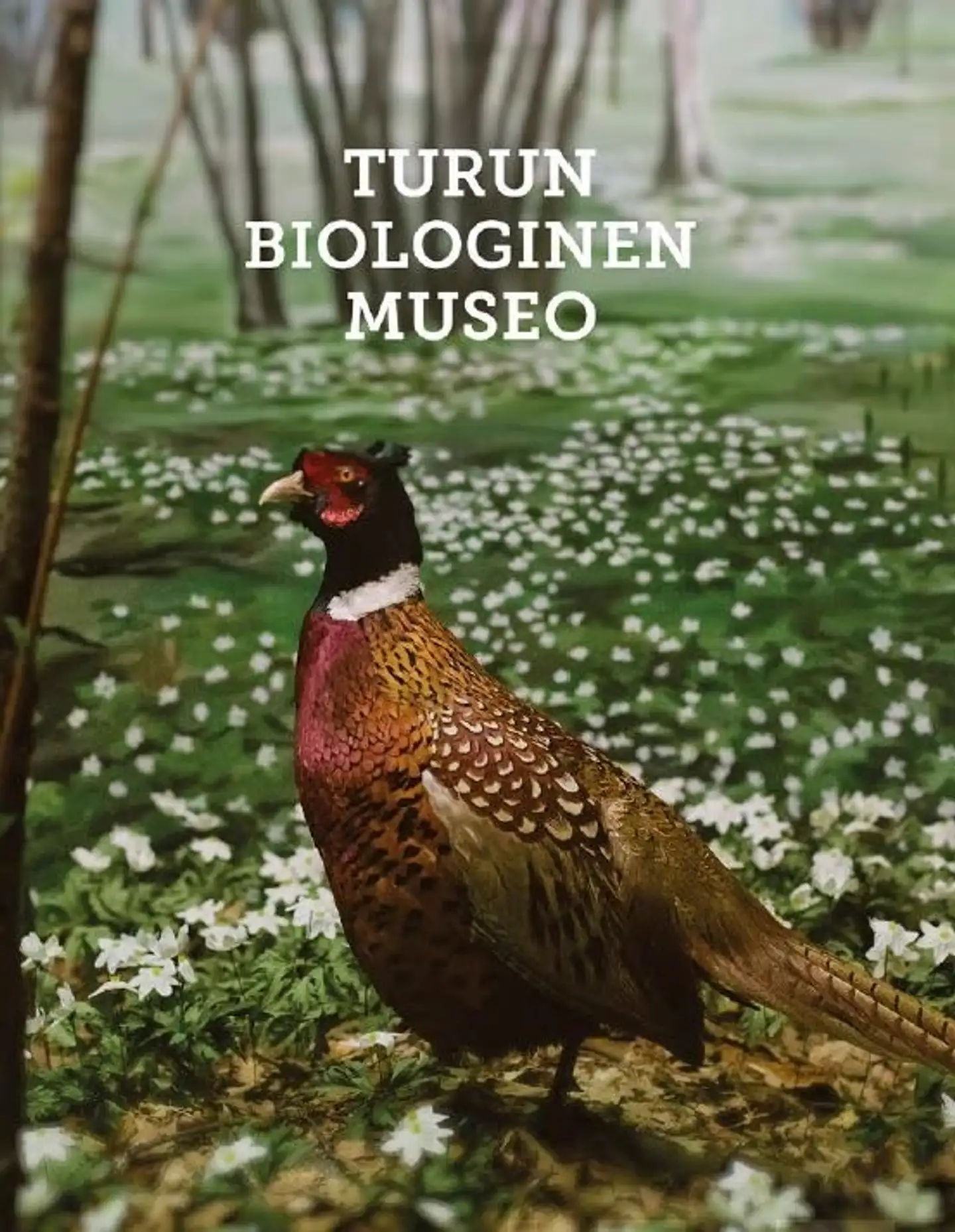 Jussila, Turun biologinen museo