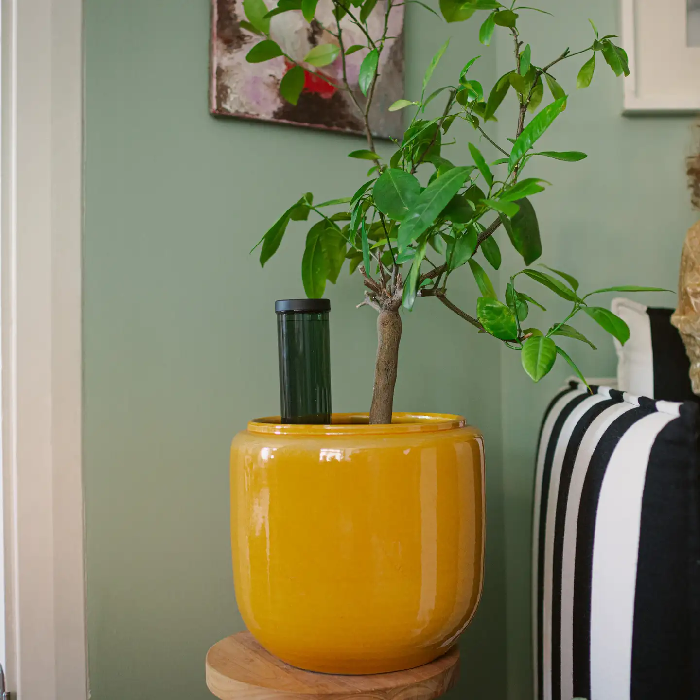 Fiskars Viherkasvien kastelupiikki 3,5 dl - 11