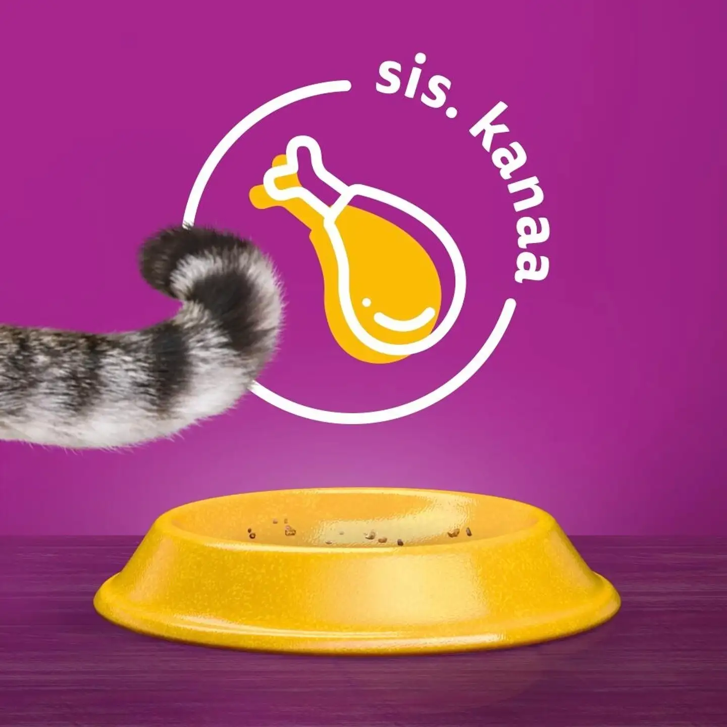 Whiskas 1+ Sterile sis. Kanaa (800 g) - 3