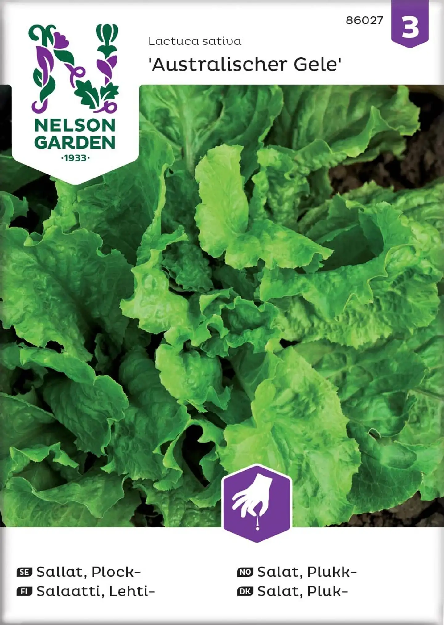 Nelson Garden Siemen Salaatti, Lehti-, Australialainen
