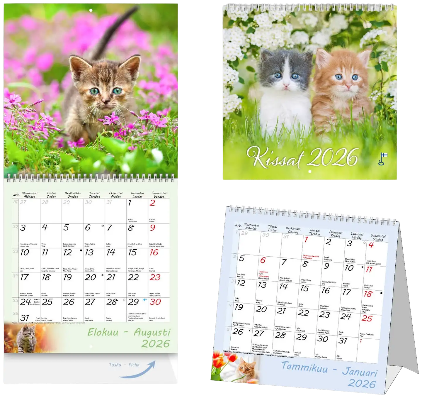 Aikataos seinäkalenteri Kissat 2026