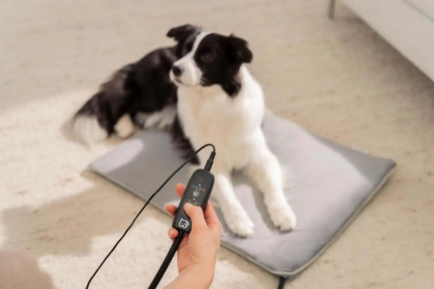 Beurer PP220 Sammy lemmikin lämpömatto L-koko - 8