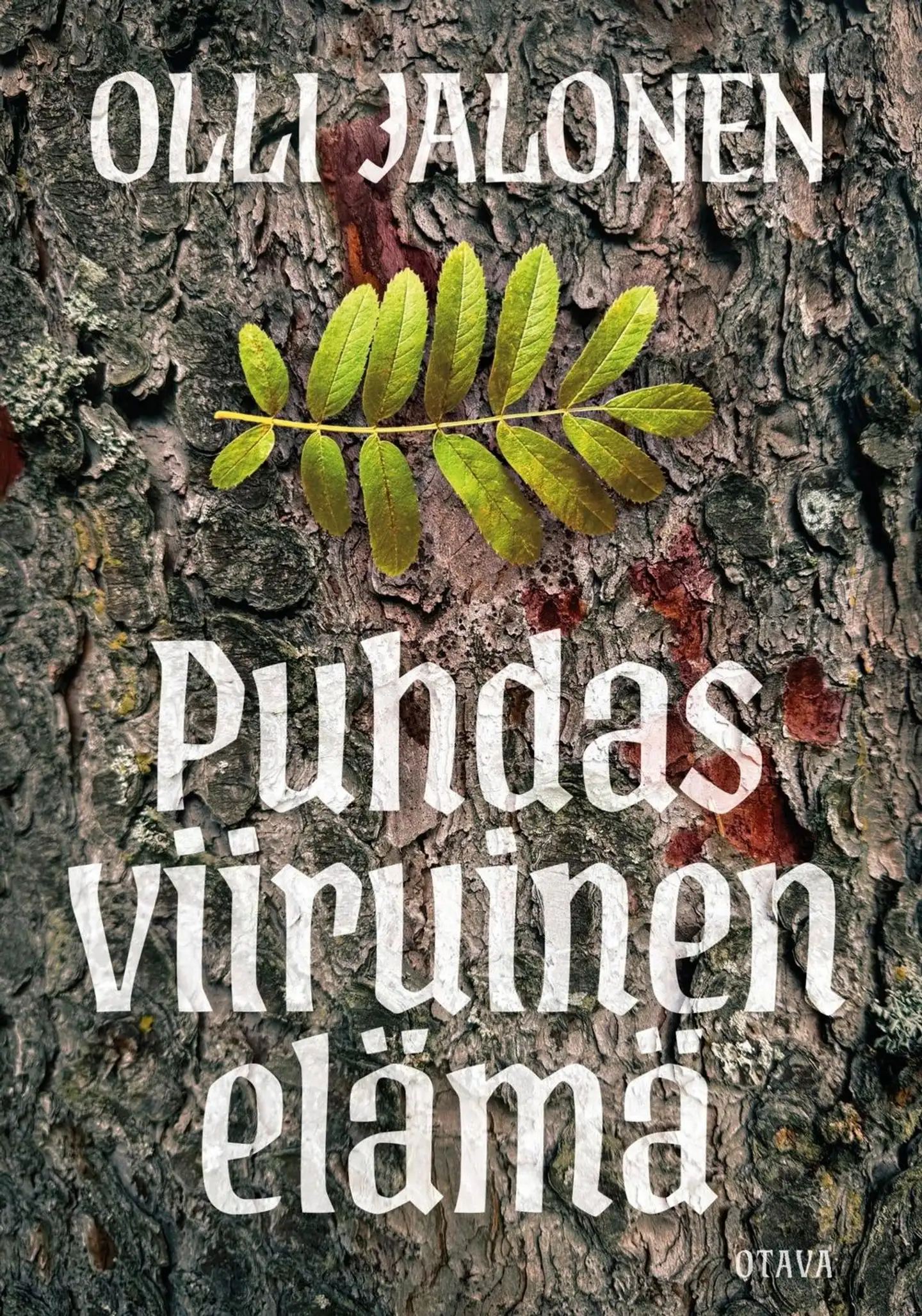 Jalonen, Puhdas viiruinen elämä