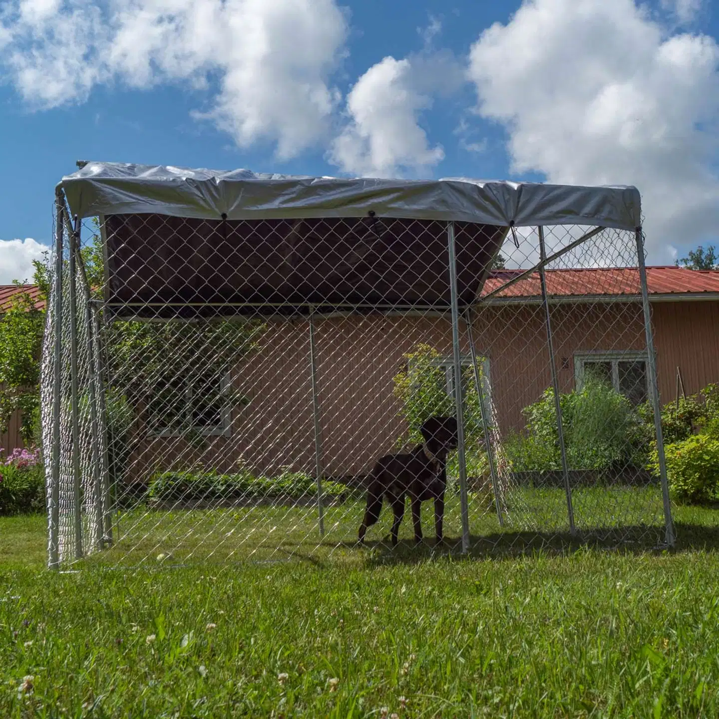 Trekker koira-aitaus katoksella 3x3 m harmaa - 5