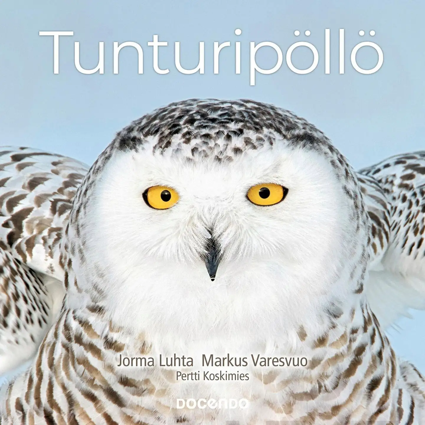Luhta, Tunturipöllö