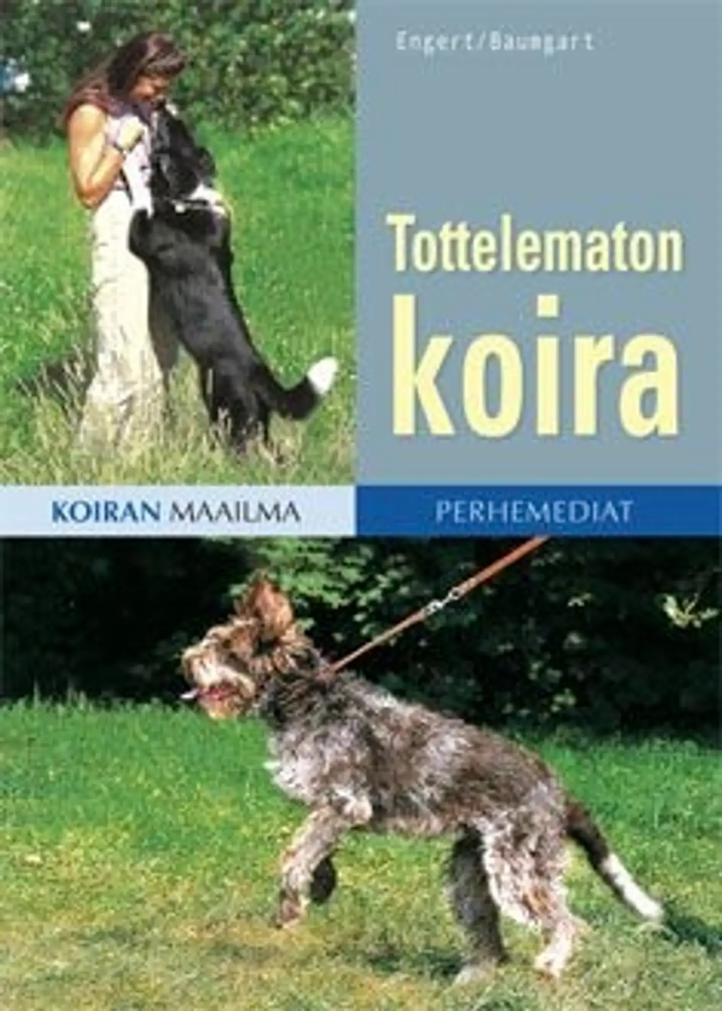 Engert, Tottelematon koira