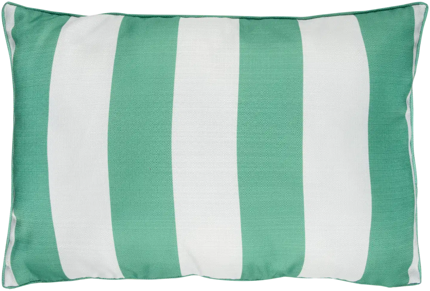 House sisustustyyny Gianna 40x60 cm vihreä/valkoinen
