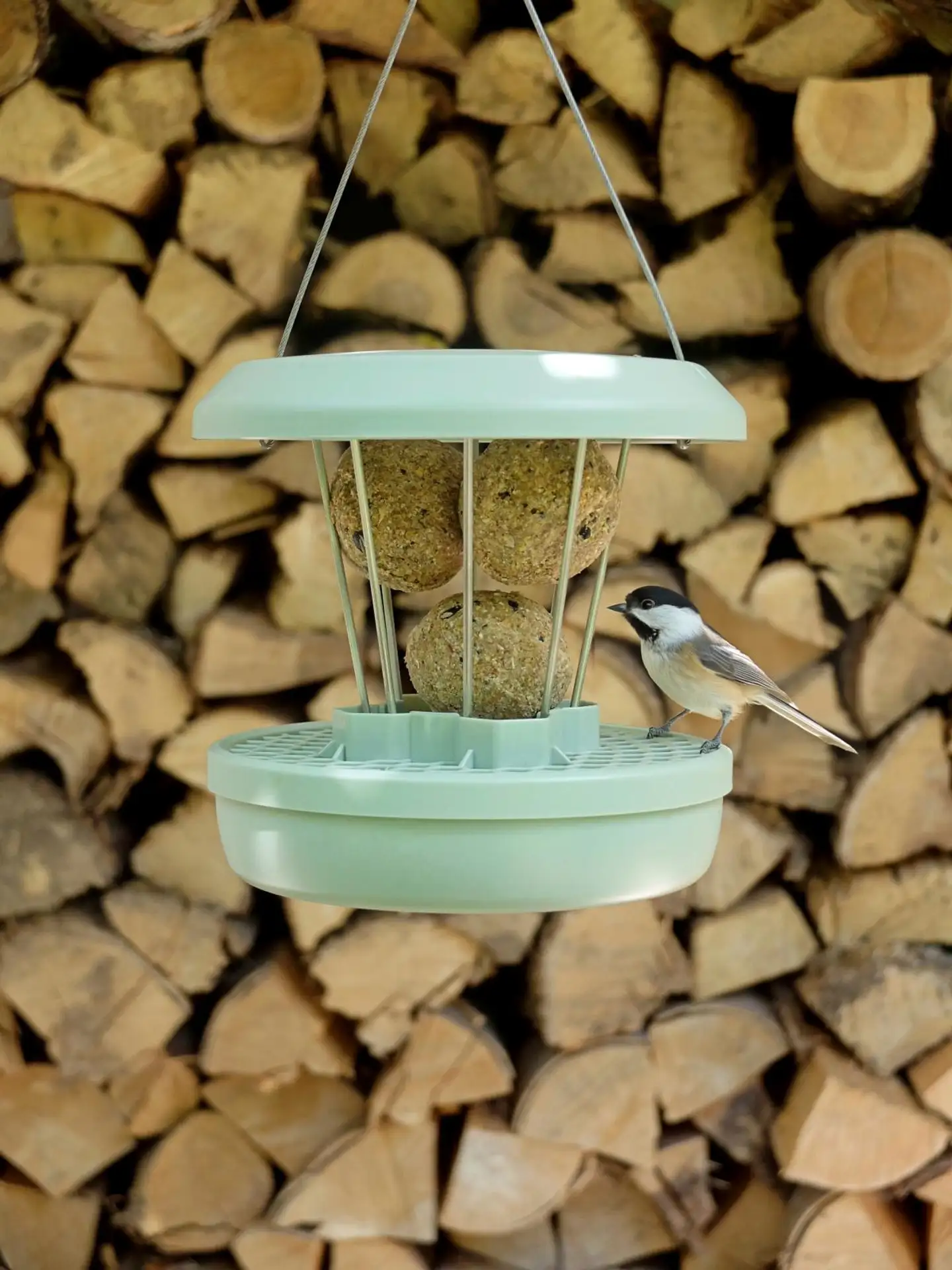 Swissinno Lintulauta Zurich talipalloille - 6