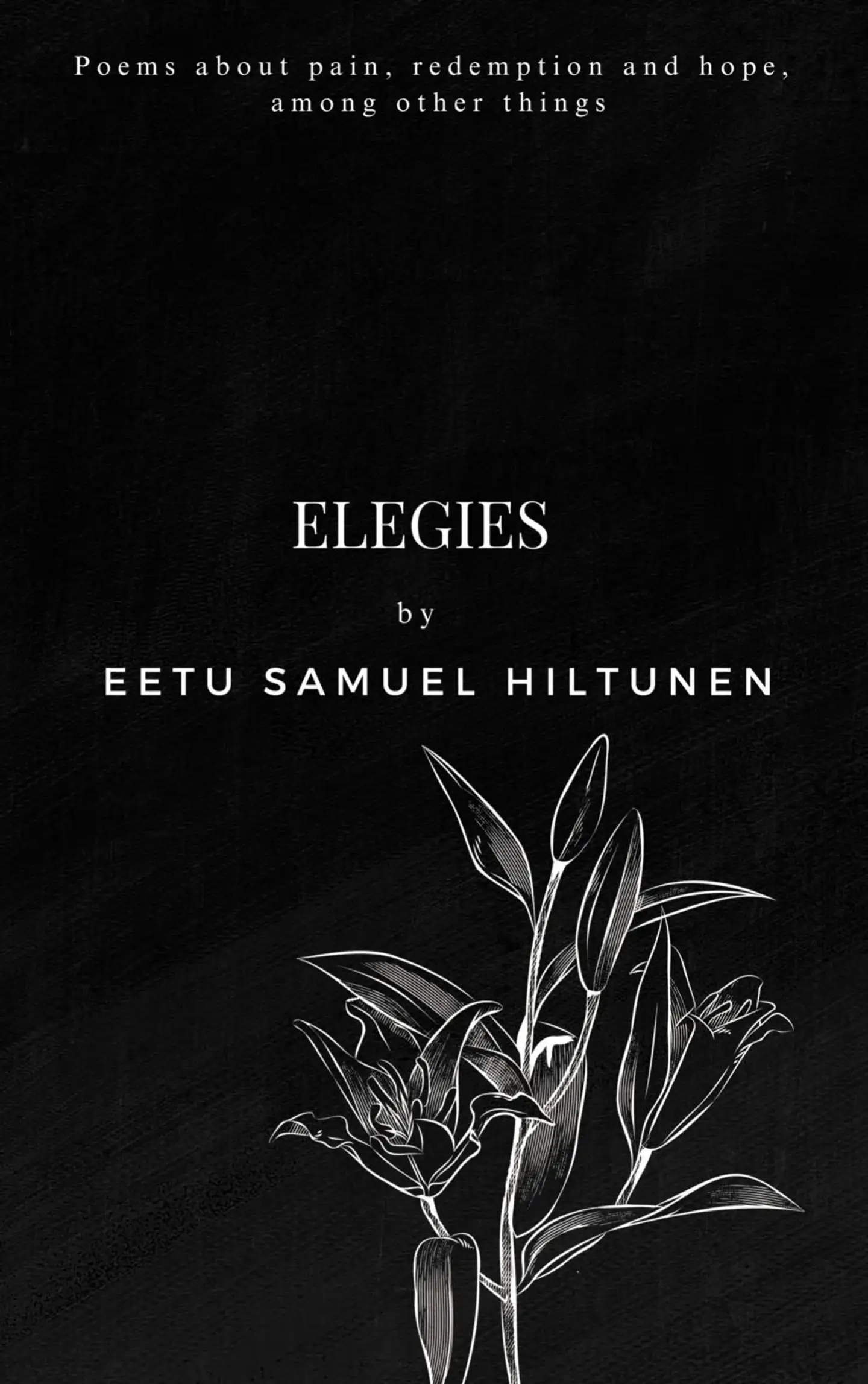 Hiltunen, Elegies - Poems about pain, redemption and hope, among other things