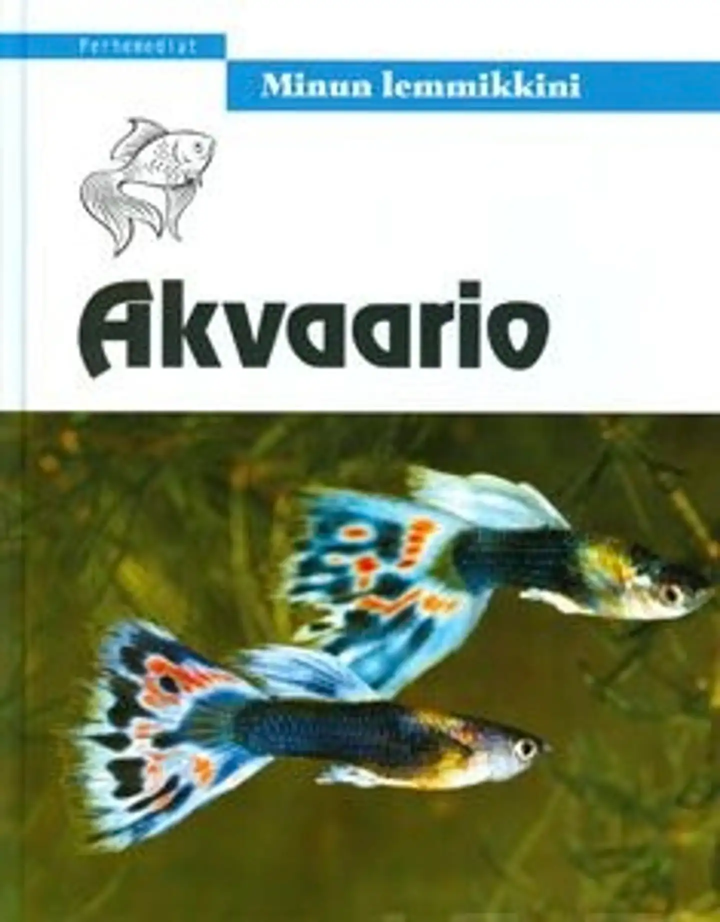 Akvaario