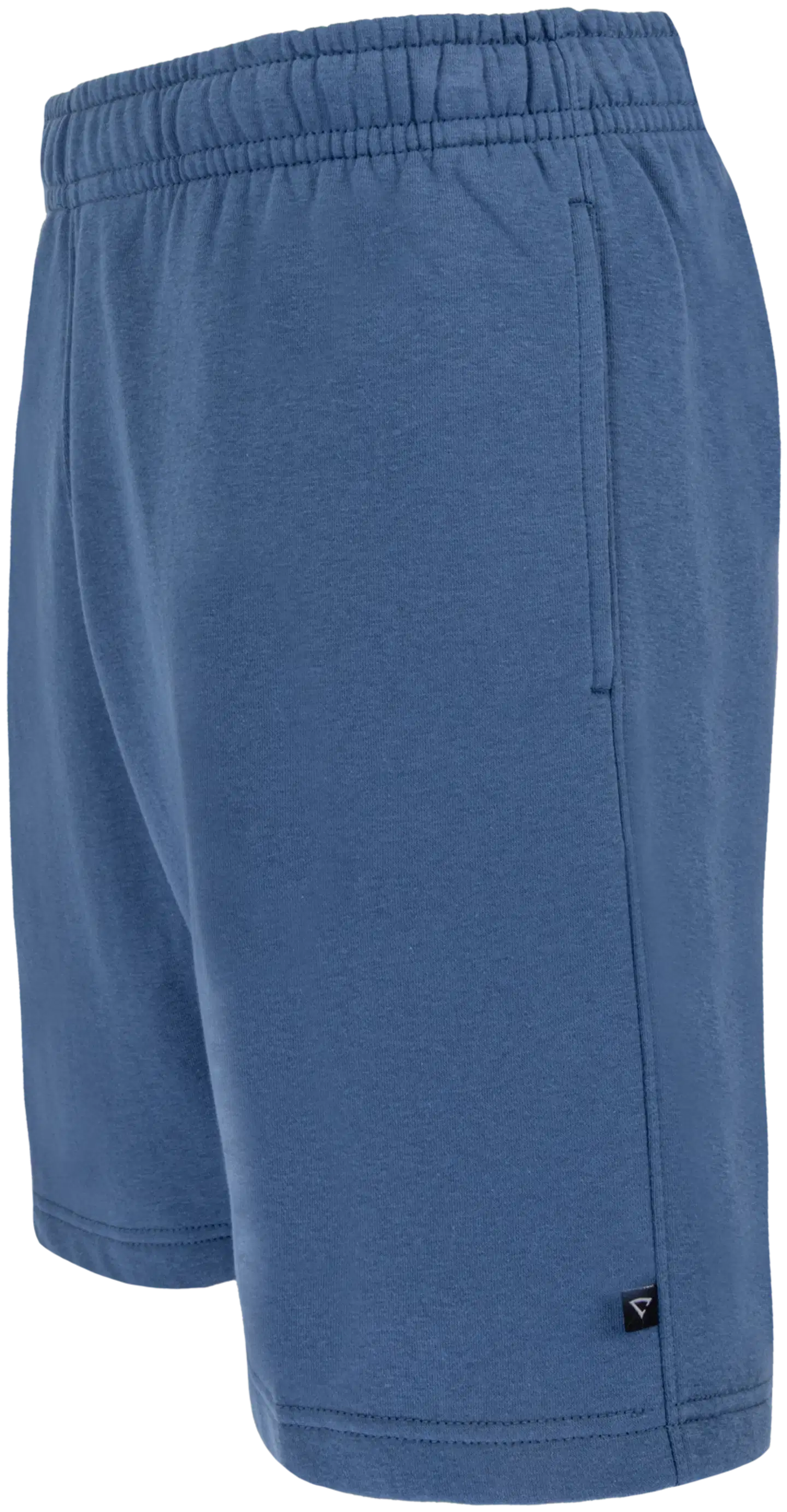 Cheetah miesten collegeshortsit CMS3707 - VINTAGE INDIGO - 2