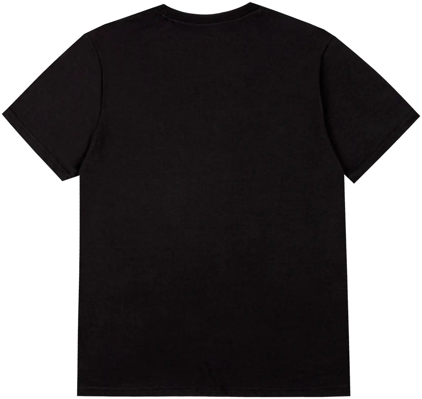 House miesten t-paita Nature - BLACK - 2