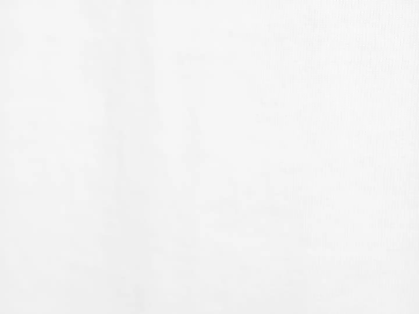 House miesten T-paita 195HNOS2 - WHITE - 5