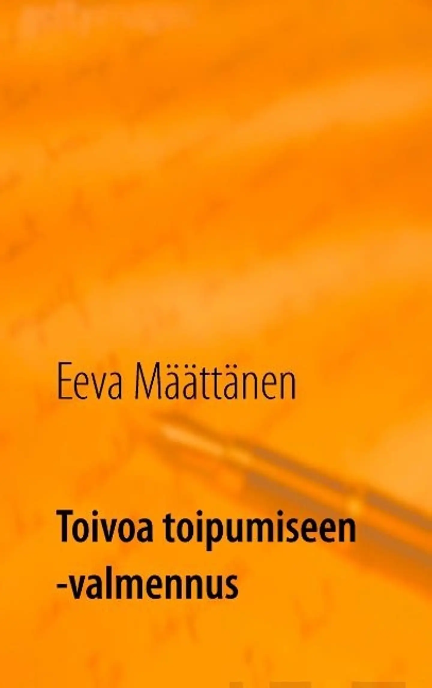 Määttänen, Toivoa toipumiseen -valmennus - Eroon päihdeongelmasta