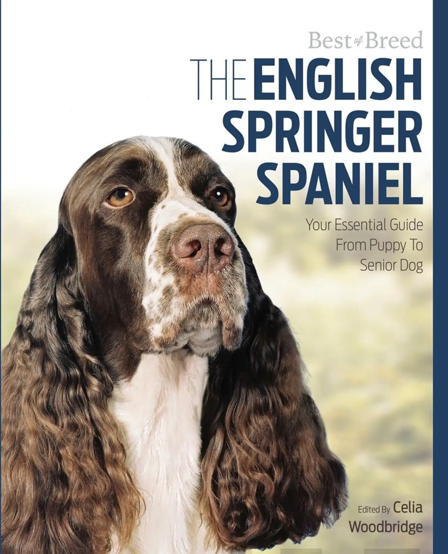 Woodbridge, The English Springer Spaniel - Your Essential Guide From Puppy to Senior Dog