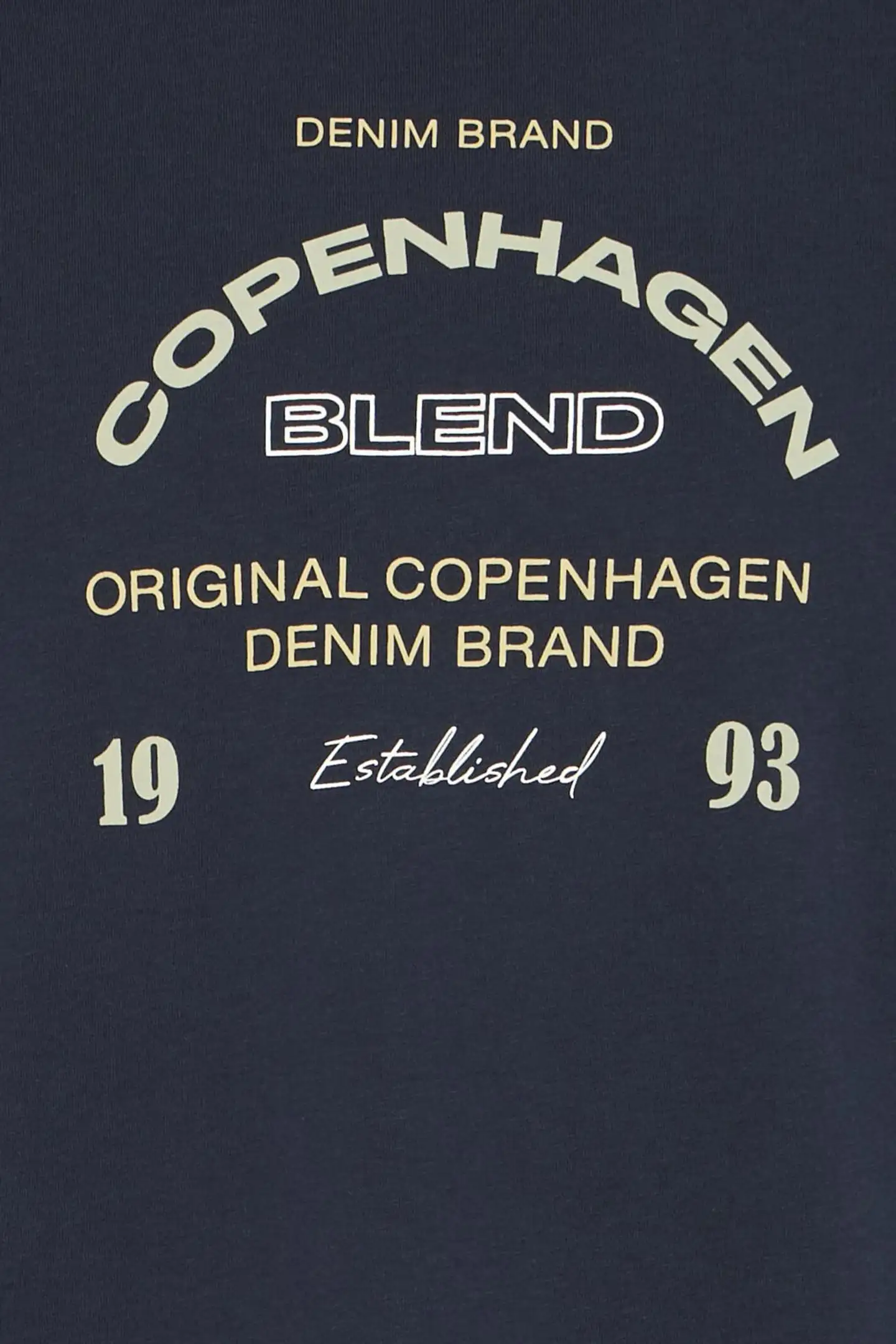 Blend miesten t-paita BHKORNELI - Salute - 3