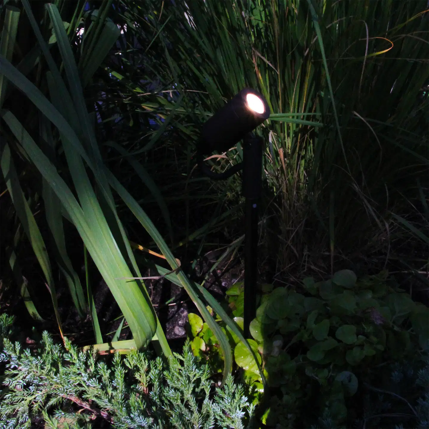 LightsOn spottivalaisin Astro - 5
