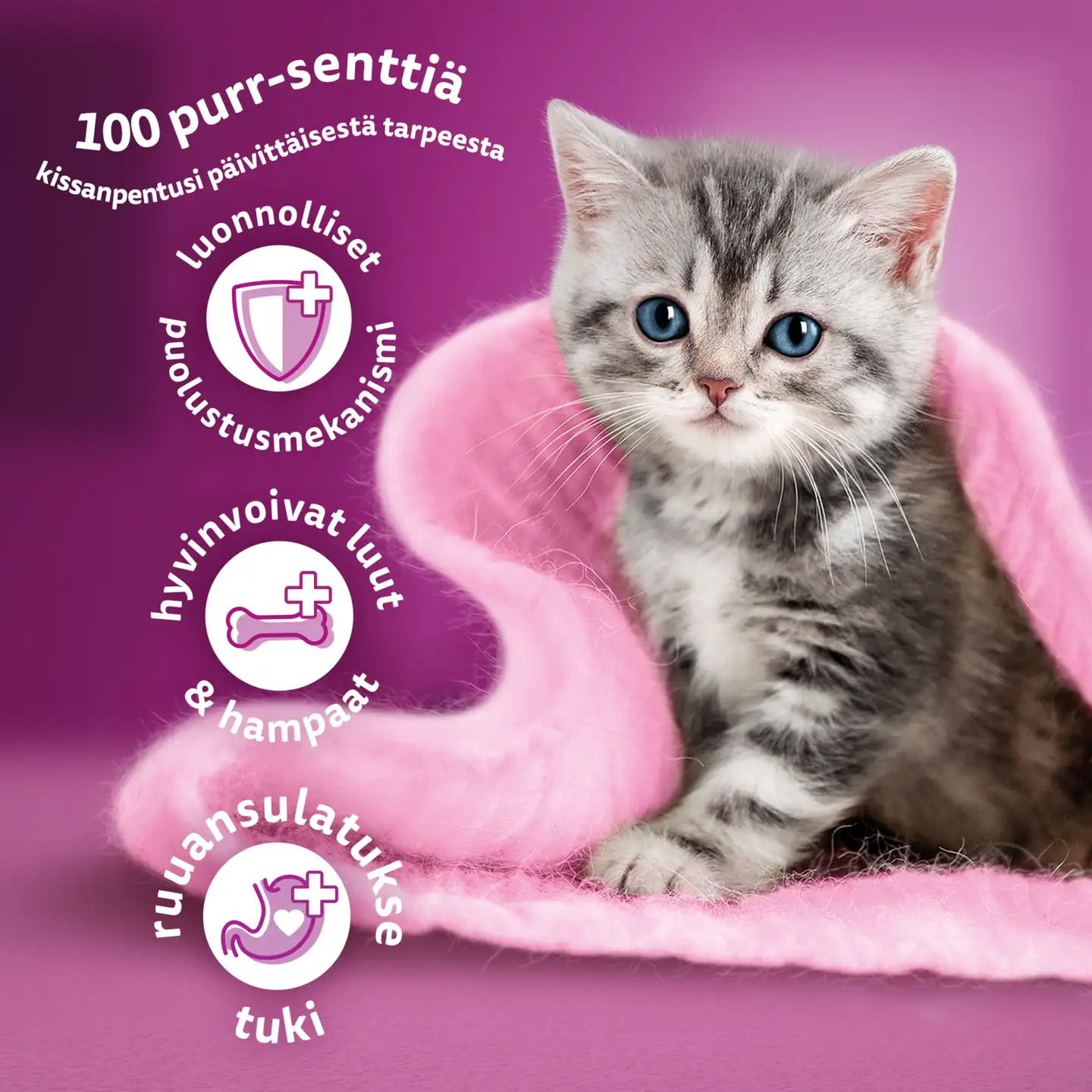 Whiskas Junior sis. Kanaa (800 g) - 5